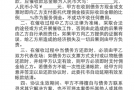 东宁如何避免债务纠纷？专业追讨公司教您应对之策